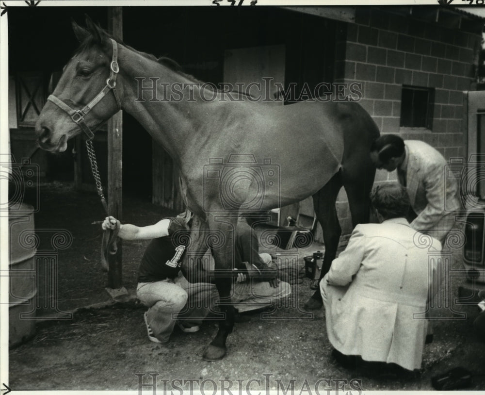 1981 Horse Racing - Draft Policy Examined for Gunshot Wound - Historic Images