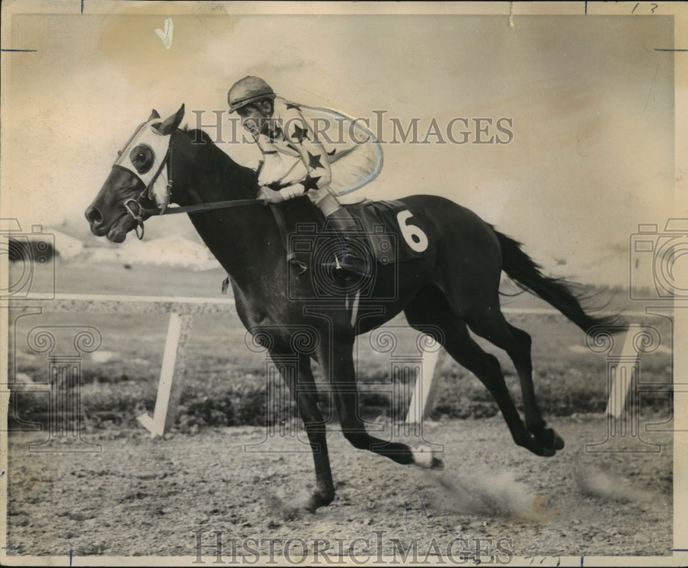 Press Photo Horse Racing - Dapper Delegate Racehorse - nos01353- Historic Images