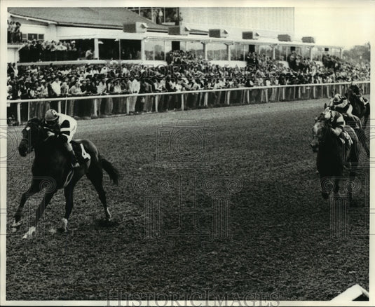 1978 Press Photo Horse Racing- Life's Hope as he wins the New Orleans Handicap.- Historic Images