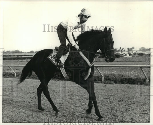 1975 Press Photo Harvey Peltiers' Smooth Dancer, winner of handicap in 1974. - Historic Images