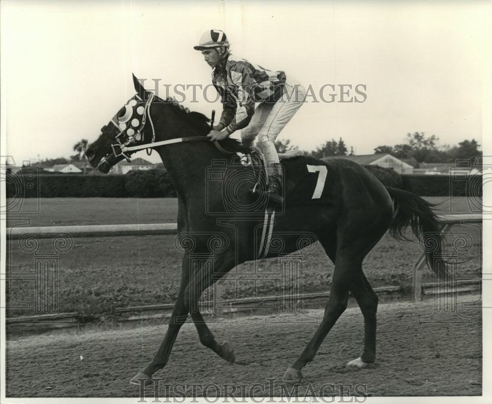 1975 Lee Matheine&#39;s Race Horse Crimson Ruler, Jockey Larry Melancon - Historic Images