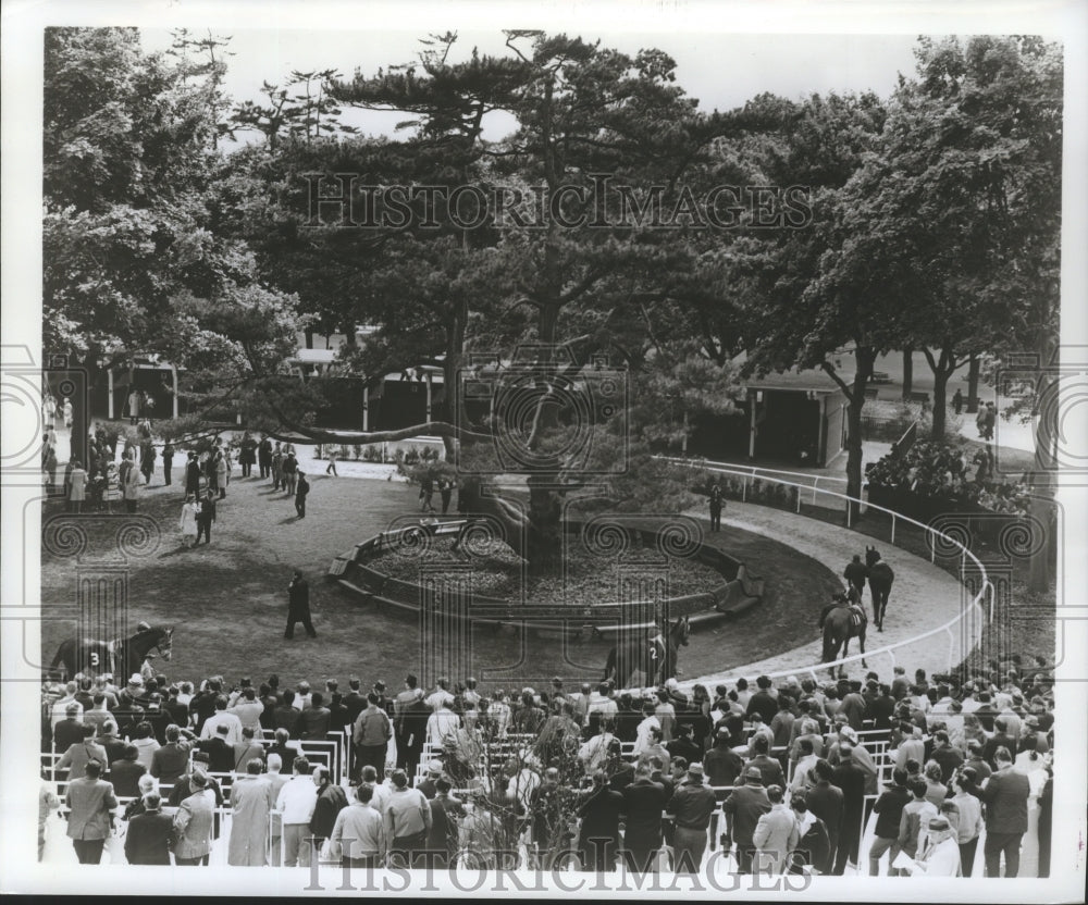 Crowd Gathered at the Belmont Park Grounds in New York - Historic Images