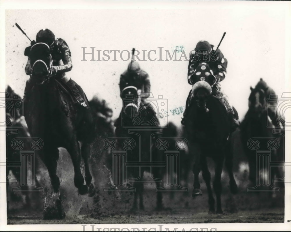 1989 Press Photo Thoroughbred Racing at Gulfstream Park in Hallandale, Florida - Historic Images