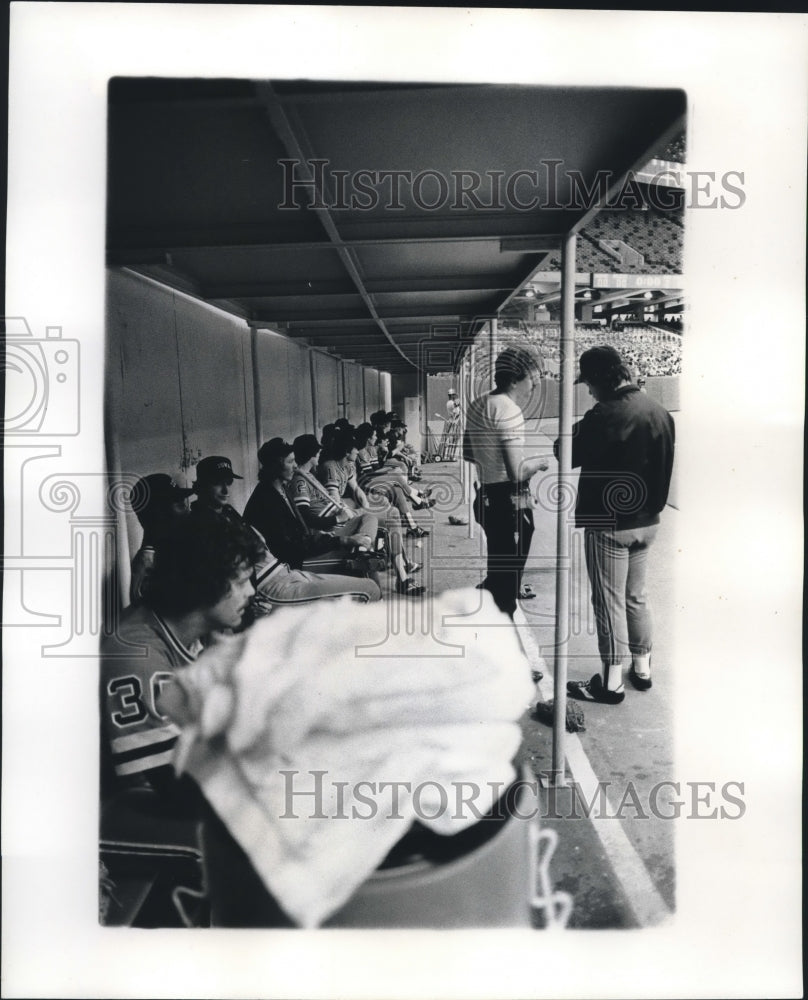 1977 Press Photo New Orleans Pelicans Baseball Players in Dugout - nos08173 - Historic Images