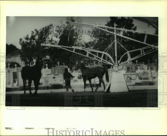 1988 Press Photo Horses Training at Fair Grounds - nos11165 - Historic Images