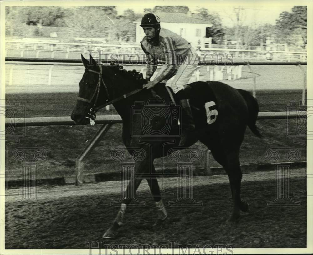 1982 Press Photo Horse racing-Jockey Edwin Delahoussaye aboard Monique Rene - Historic Images