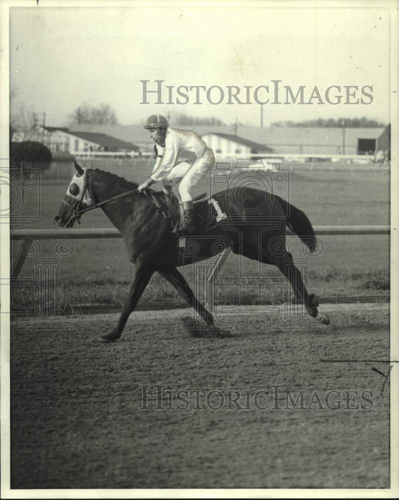 1972 Press Photo Jockey Phil Rubbicco rides race horse Tribal Line around track - Historic Images