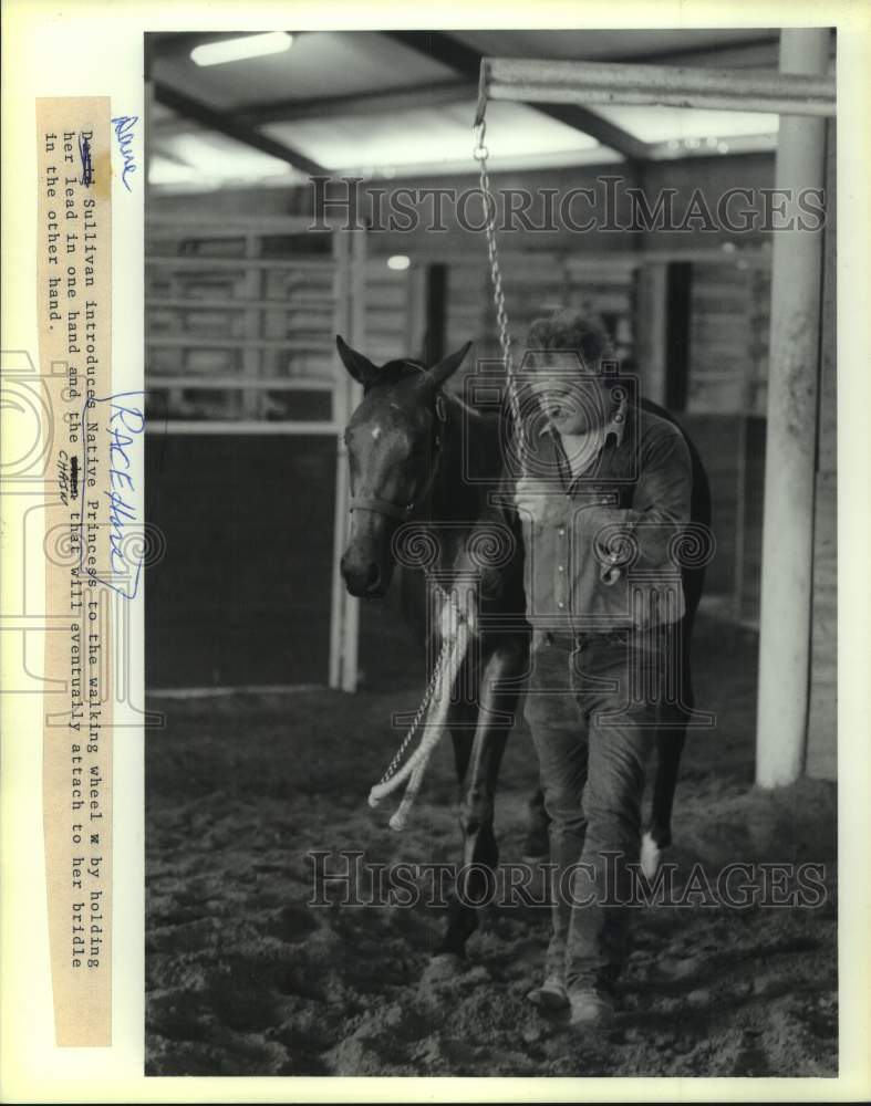 1990 Press Photo Dave Sullivan show race horse Native Princess to walking wheel- Historic Images