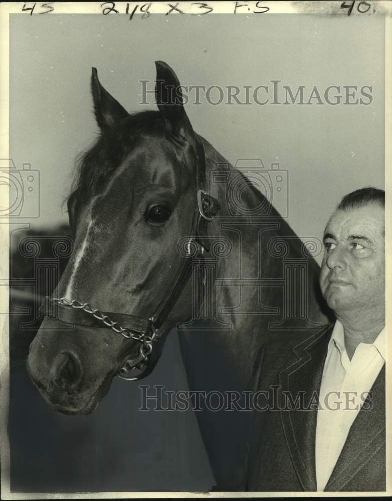 1978 Press Photo Race horse Prince Majestic, owned by Mrs Joe W. Brown - Historic Images