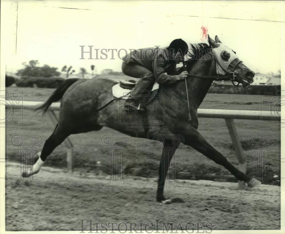 1973 Press Photo Jockey Eddie Delahoissaye rides race horse Bushel O Lost - Historic Images