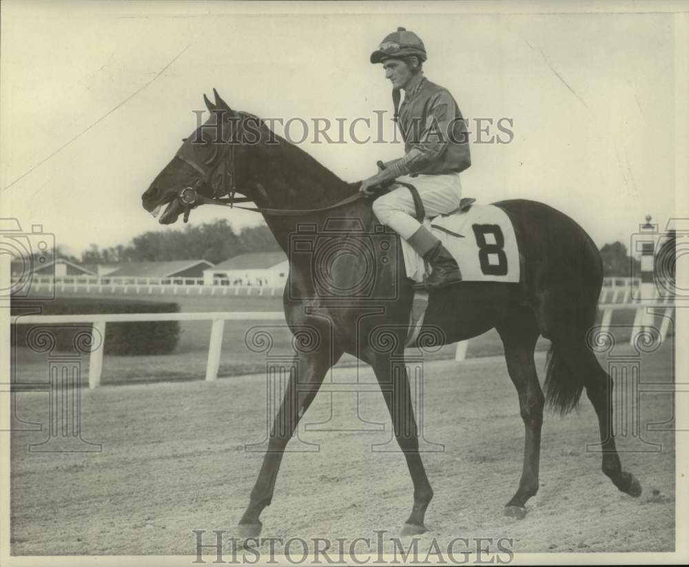 Press Photo Race horse Tony Graf with jockey trots on the track - nos25348 - Historic Images