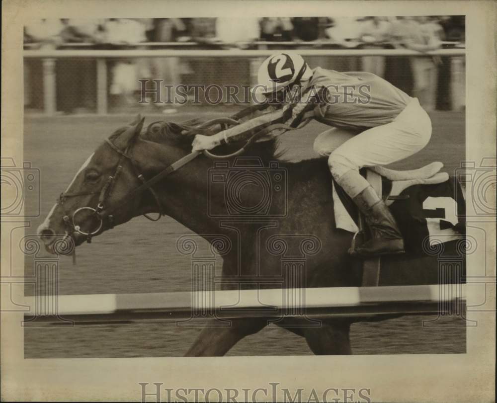 1980 Press Photo Louisiana Derby winner Prince Valiant and jockey Mike Gonzales - Historic Images