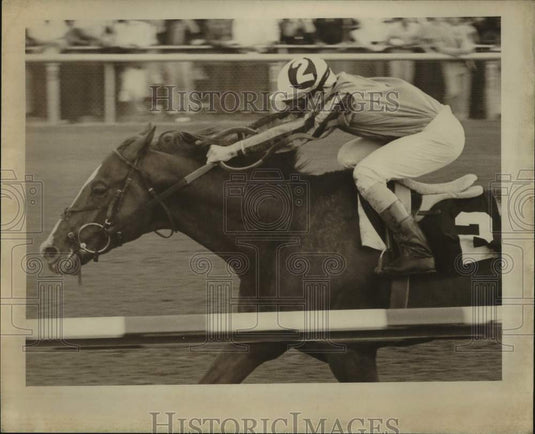 1980 Press Photo Louisiana Derby winner Prince Valiant and jockey Mike Gonzales - Historic Images