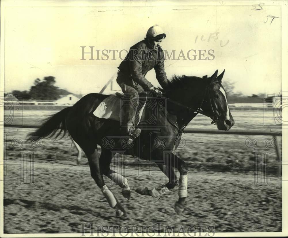 1974 Press Photo Horse Racing - Beau Groton, Nominee in Louisiana Derby - Historic Images