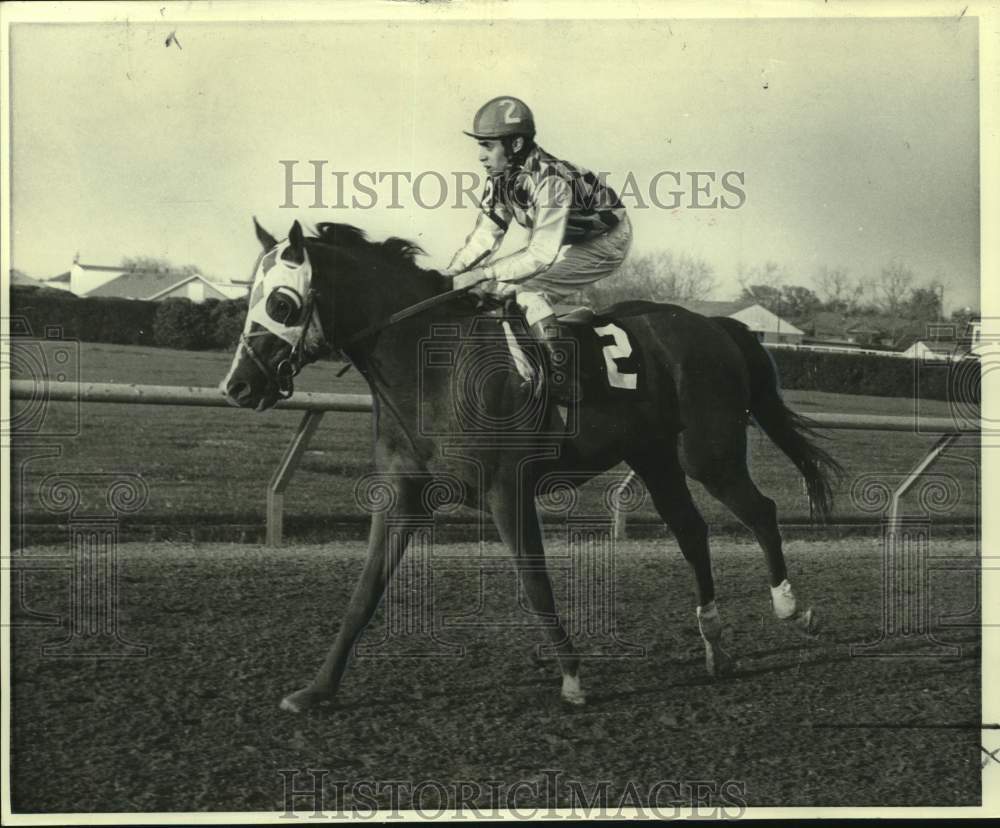 1970 Press Photo Racehorse Action Getter with jockey Mike Venezia - nos25489- Historic Images