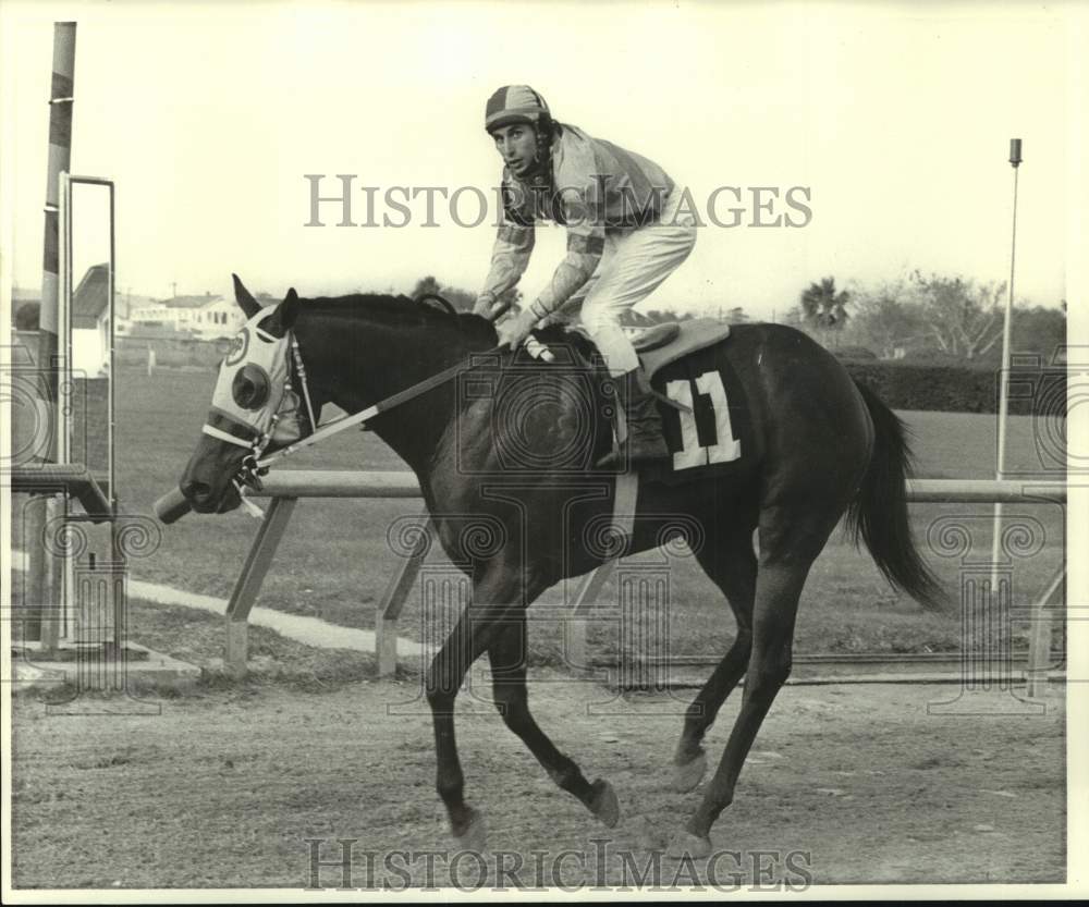 1974 Press Photo Jockey Phil Ribbicco hangs on to reigns race horse Mighty Dip - Historic Images