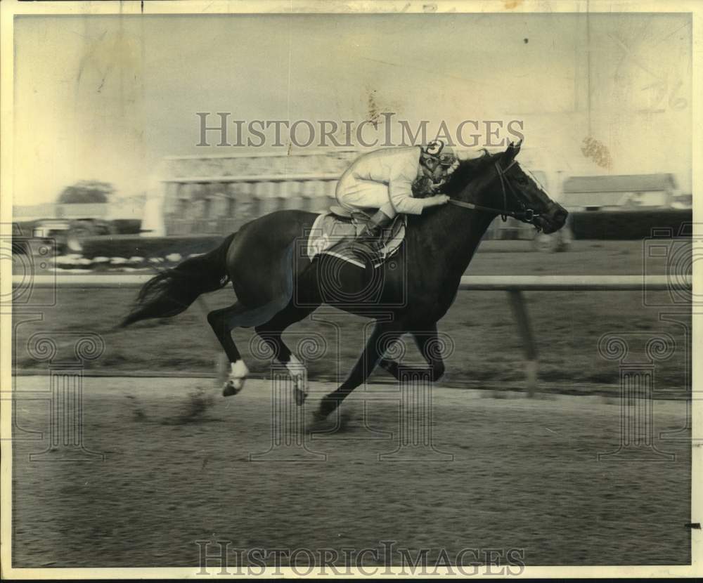 1974 Press Photo Thelma Stakes racehorse Niece with jockey Craig Perret - Historic Images