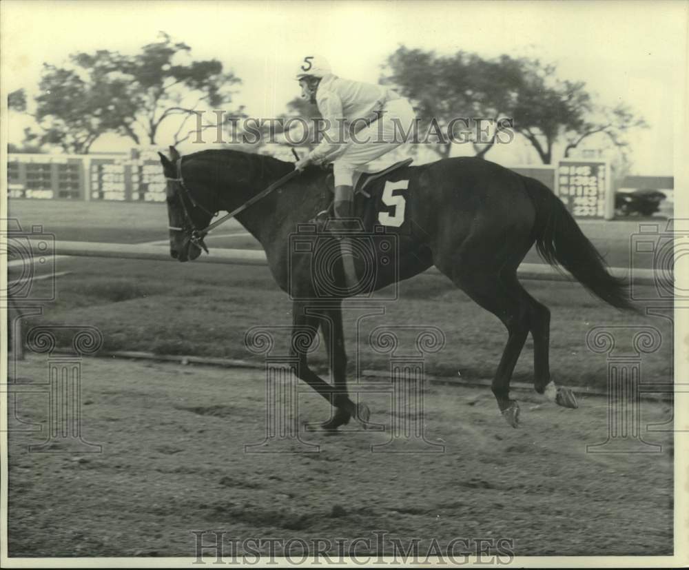 1971 Press Photo Race horse Prince of Ascot with Phil Rubbicco up, on the track- Historic Images