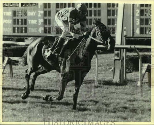 1982 Press Photo Racehorse Vibro Vibes and jockey EJ Perrodin at Fair Grounds- Historic Images