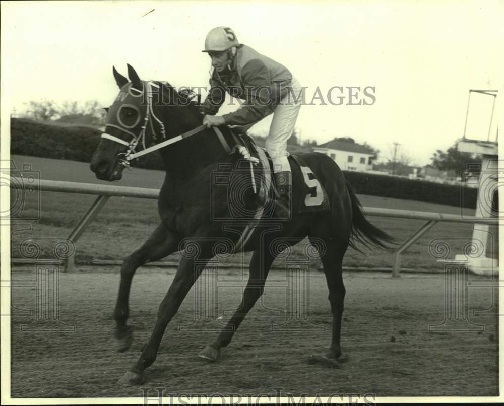 1972 Press Photo Racehorse Vic&#39;s Turn and Leroy Moyers - nos25681 - Historic Images