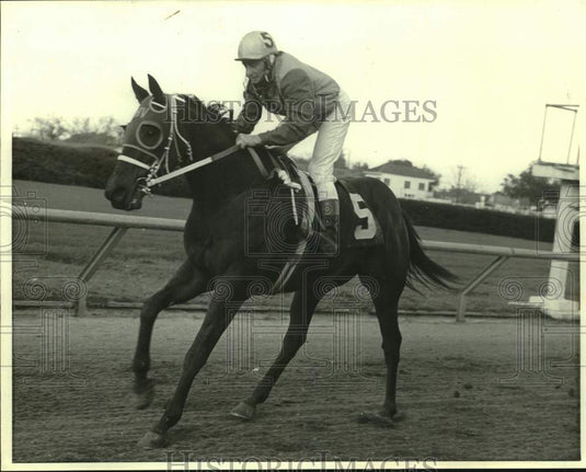 1972 Press Photo Racehorse Vic's Turn and Leroy Moyers - nos25681 - Historic Images
