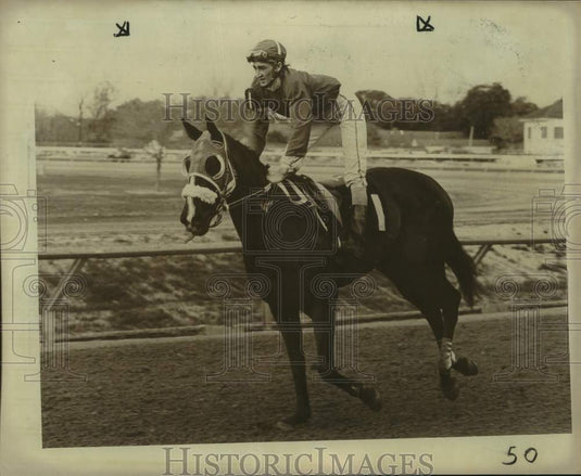 1980 Press Photo Racehorse Braze and Bold - nos25718- Historic Images