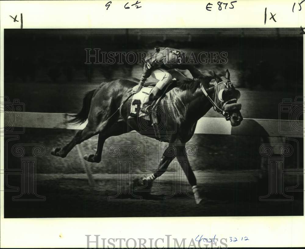 1978 Press Photo Jockey J.Tucker Cahanin and racehorse The Scorpe - nos25723 - Historic Images