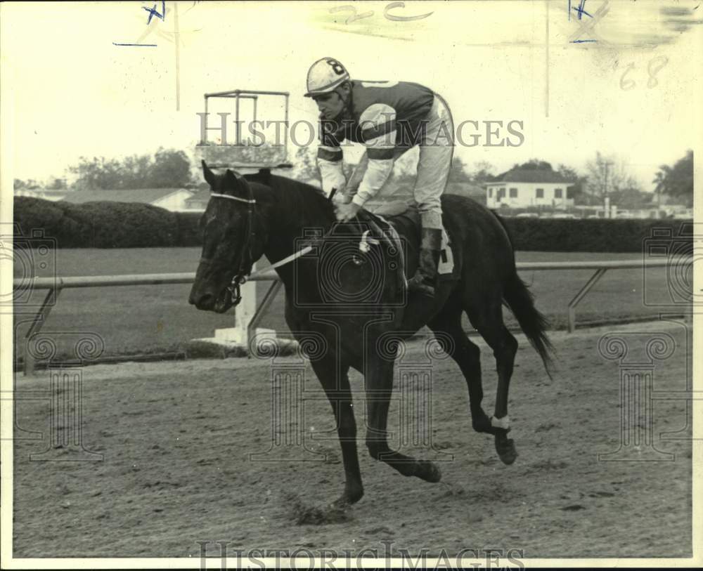 1972 Press Photo Racehorse Mista Vap and jockey Eddie Delahoussaye - nos25732 - Historic Images