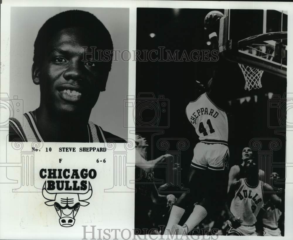 1979 Press Photo Chicago Bulls 6&#39;6&quot; basketball forward Steve Sheppard- Historic Images