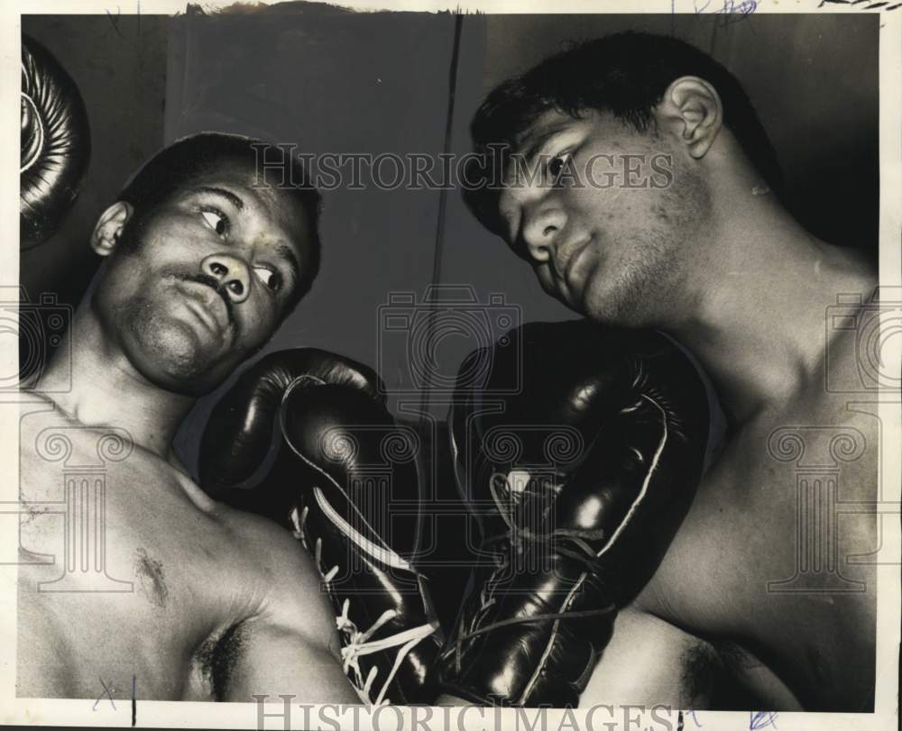 1970 Press Photo Boxers Louis Vinales and Tony Licata face off. - nos36551 - Historic Images