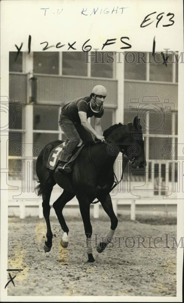 1975 Press Photo Racehorse T.V. Night in Final Press for Jefferson Downs Race - Historic Images