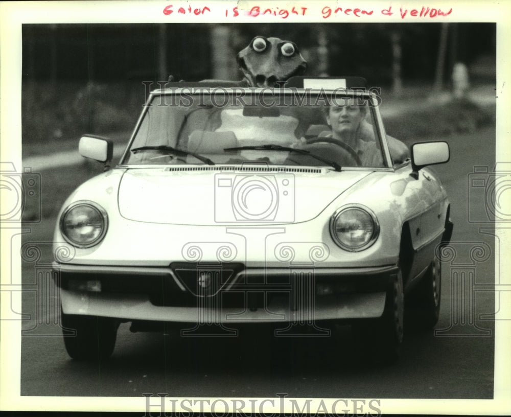 1992 Press Photo George Constance transports a play alligator for his daughters - Historic Images