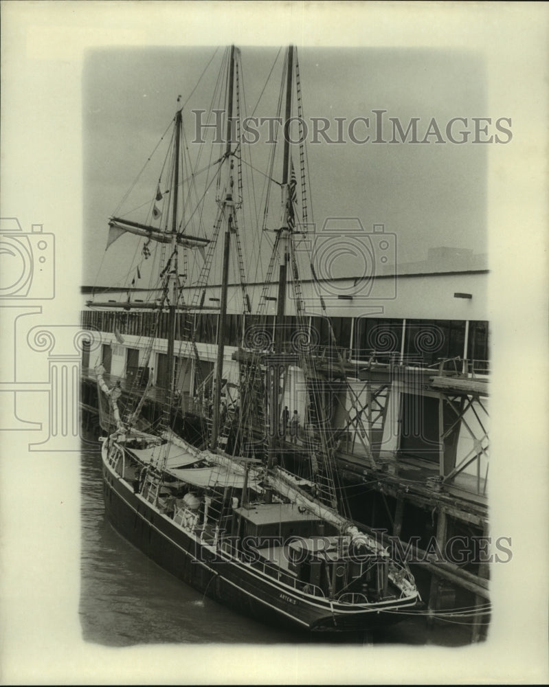 1977 Press Photo The Artemis Schooner boat pictured docked in the water-Historic Images