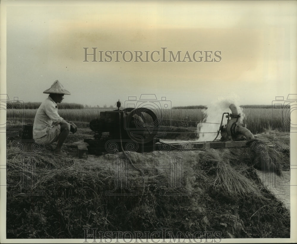 Press Photo Typical Free China rice farmer watches water pump flood rice paddy-Historic Images