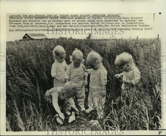 1965 Jimmy Fischer plays with duck as quint sisters watch - Historic Images