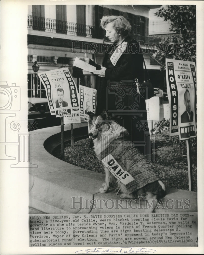 1960 Angel &amp; Marjorie Waterman with political signs &amp; literature - Historic Images