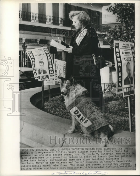 1960 Angel & Marjorie Waterman with political signs & literature - Historic Images