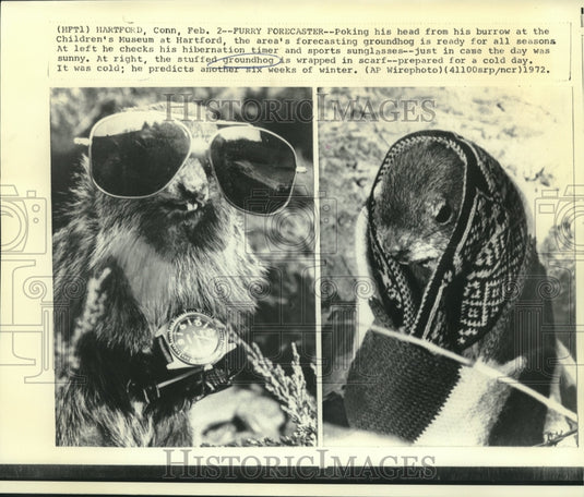 1972 Hartford's Children's Museum groundhog in seasonal wardrobes - Historic Images