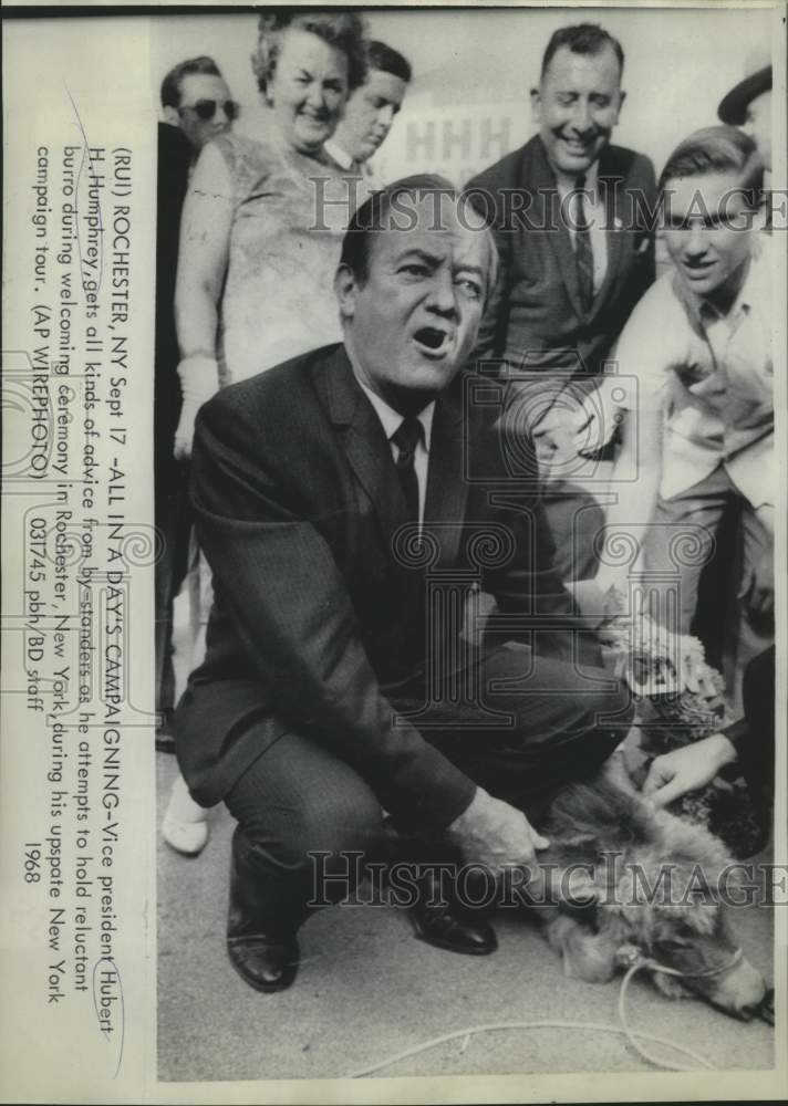 1968 Vice President Humphrey with supporters and burro in Rocherster - Historic Images