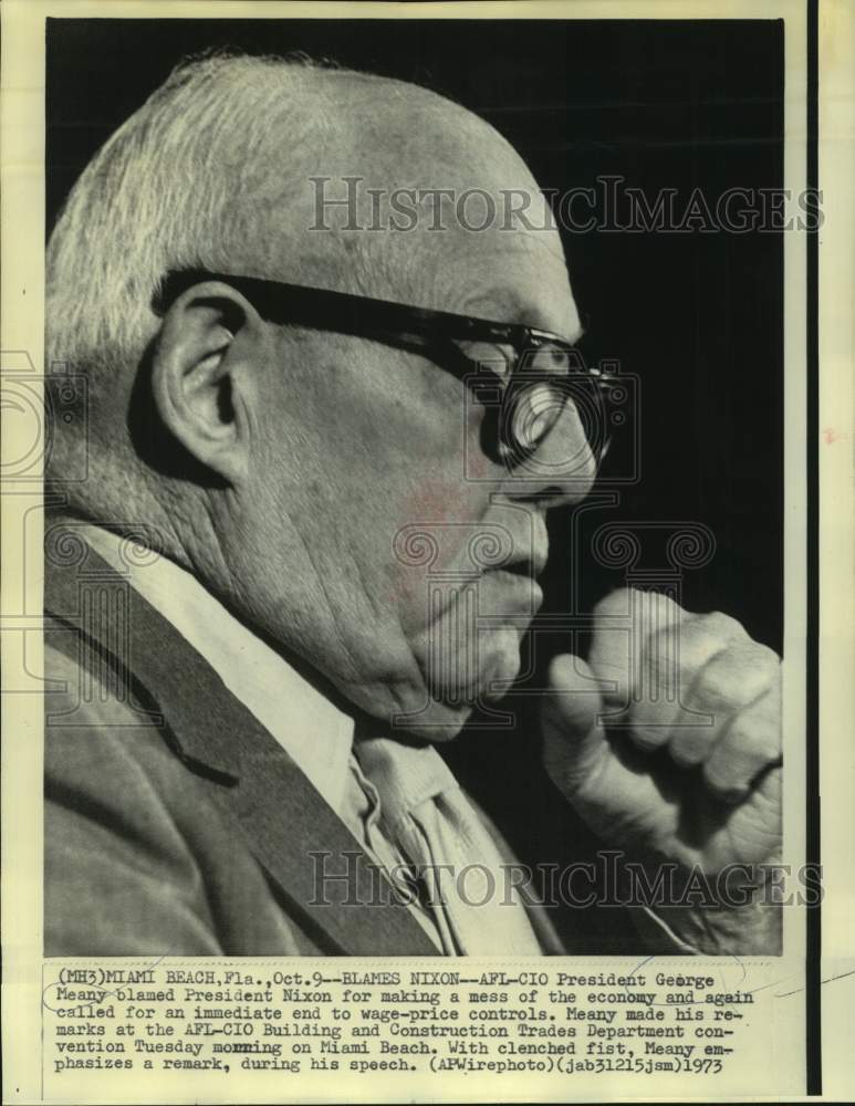 1973 Press Photo AFL-CIO President Meany speaks at Trades Department convention-Historic Images