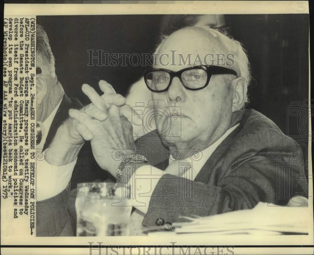 1975 AFL-CIO President George Meany at Senate Budget Committee - Historic Images