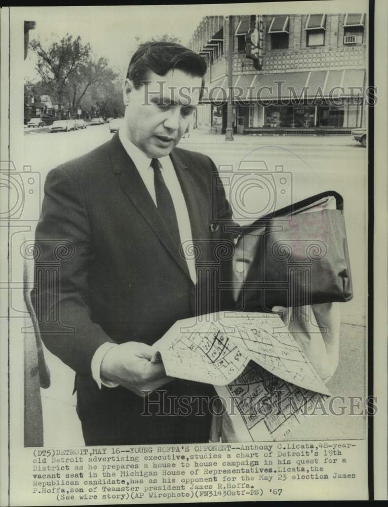 1967 Press Photo Anthony Licata studies 19th District map for campaigning - Historic Images