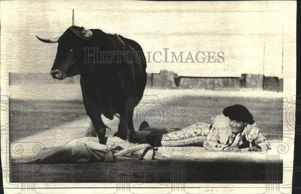 1971 Press Photo Bull stands over downed bullfighter Aurelio Garcia Migares- Historic Images