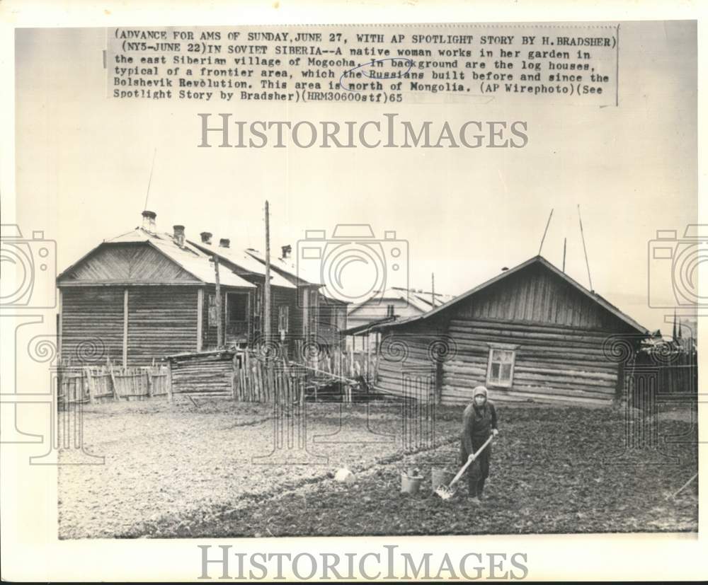 1965 Press Photo Siberian Woman Works in Garden, Russia - now40239-Historic Images