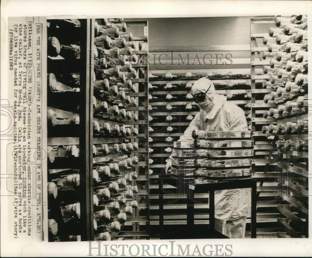 1963 Vaccine &#39;farm&#39; technician stores trays of living cell tissue - Historic Images