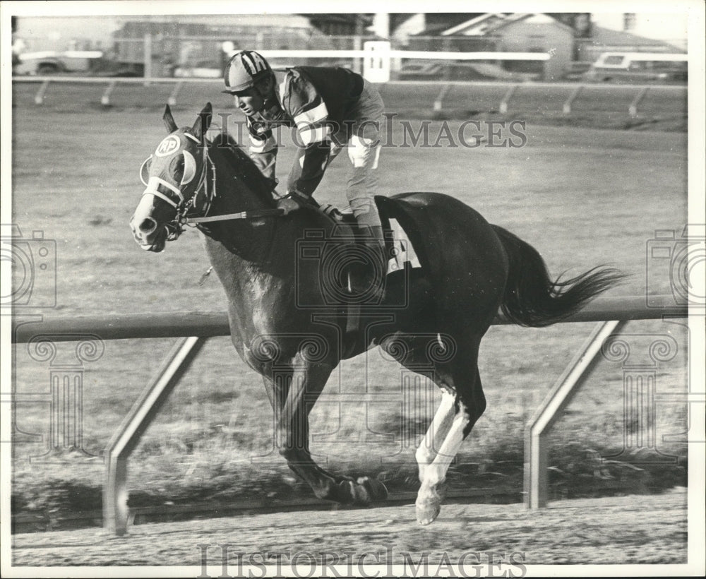 1975 Press Photo Harvey Peltiers Famed Comedian Race Horse - nox00436-Historic Images