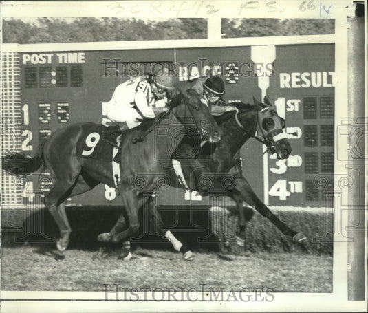 1973 Press Photo Ekwanok with jockey Walter Blum winning race at Atlantic City-Historic Images