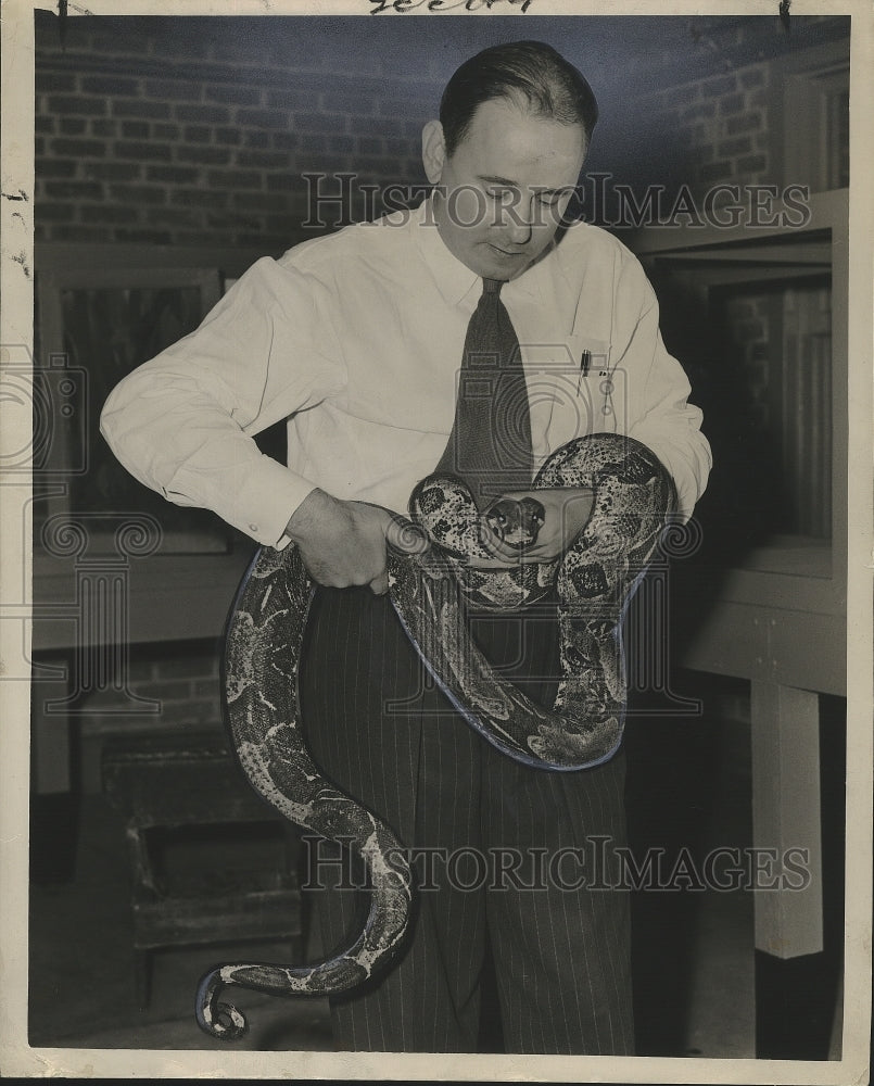 1948 Press Photo New Orleans Audubon Zoo - Mr. Douglas with Gwen the Boa Snake - Historic Images