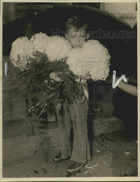 1933 Press Photo Harold Frank holding huge chrysanthemums for All Saints Day-Historic Images