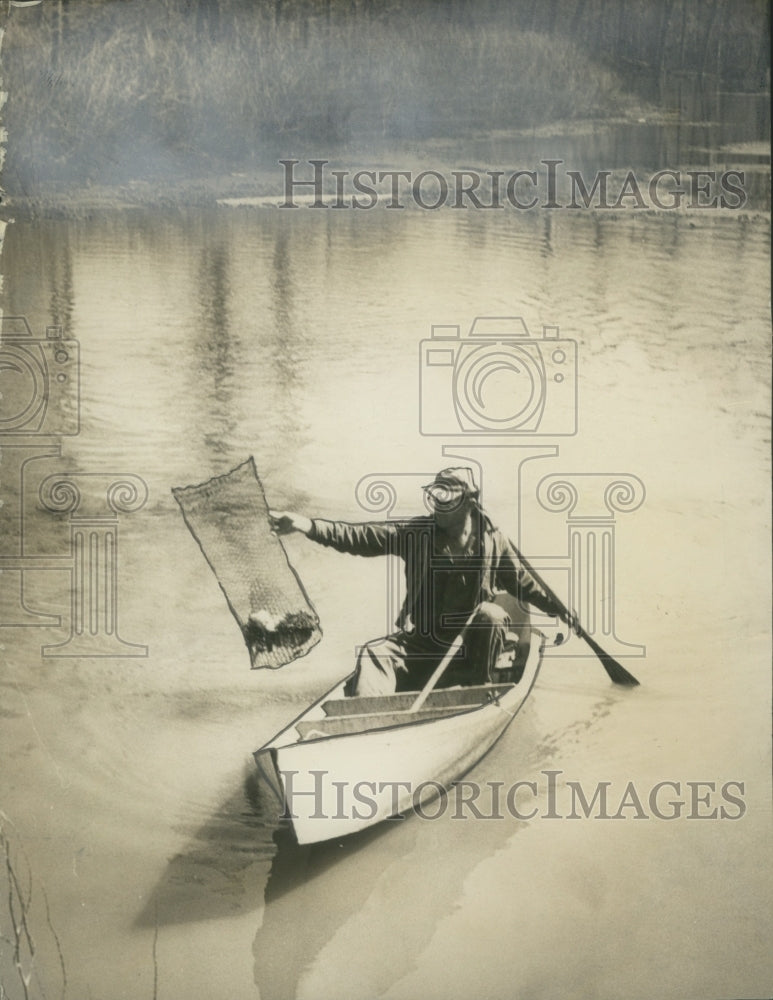 1964 Press Photo Crawfish Farm Employee Checks Trap - nox13866-Historic Images